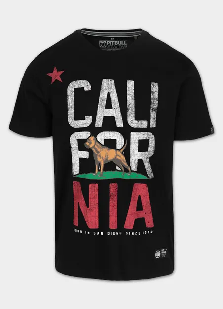 Koszulka męska CALIFORNIA